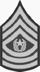 Command Sergeant Major