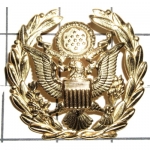 Odznak U.S. Army Sergeant Major of The Army