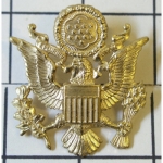 Odznak U.S. Army Dstojnk dmsk