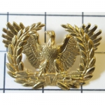 Odznak U.S. Army Warrant Officer