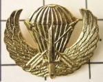 Odznak RVN Special Forces