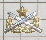 Ranger badge Vietnam