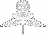 Military Freefall Parachutist badge - Jumpmaster