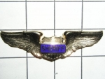 Odznak Pilot sheriff