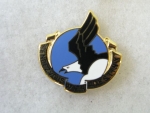 Odznak Smalt 101. Airborne Div. DUI