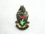 Odznak Smalt  11. Armored Regiment DUI