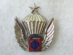 Odznak Smalt  82. Airborne Div.