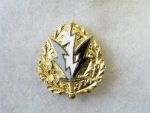 Odznak Smalt   6. Psychological Operations Battalion DUI
