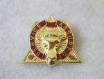 Odznak Smalt  79. Support Battalion