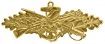 Seabees Combat Warfare Specialist badge