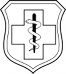 Enlisted Medical badge