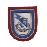 Flash / Ovl 507th Parachute Infantry Regiment