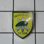 Odznak Smalt Special Forces Vietnam