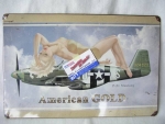 Cedule P51 American Gold HW-AIR-22