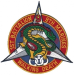   1. Battalion 9. Marines nášivka