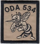 Special force ODA 534