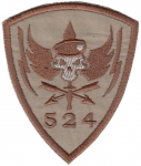 Special force ODA 524