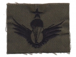Parachutist badge Korea