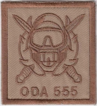 Special force ODA 555