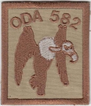 Special force ODA 582