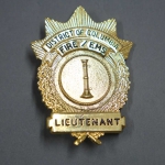 Odznak Hasiè Leutnant