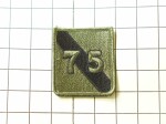   75. Infantry Division n�ivka